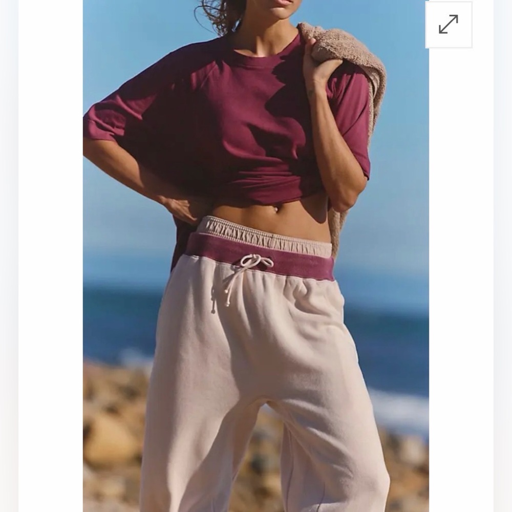 NWT Free People You Wish Pants In Ballet Slipper Size Large - Picture 4 of 6